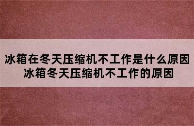 冰箱在冬天压缩机不工作是什么原因 冰箱冬天压缩机不工作的原因